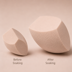 Bloom Sponge Duo