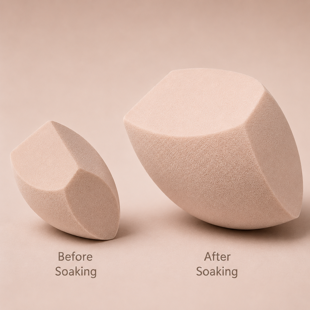 Bloom Sponge Duo