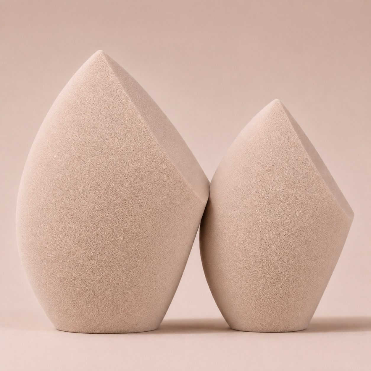 Bloom Sponge Duo
